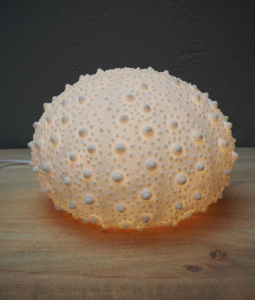 Lampe oursin