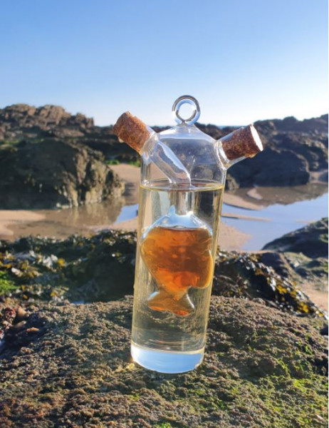 Vinaigrier poisson 