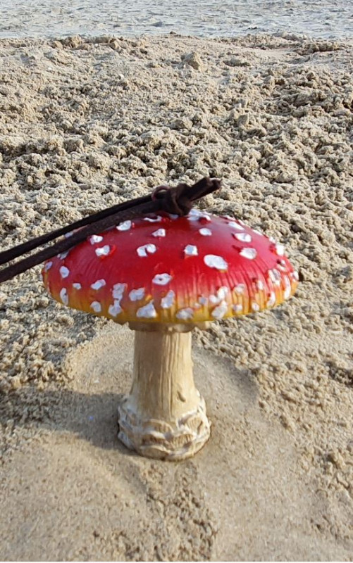 Suspension champignon rouge 