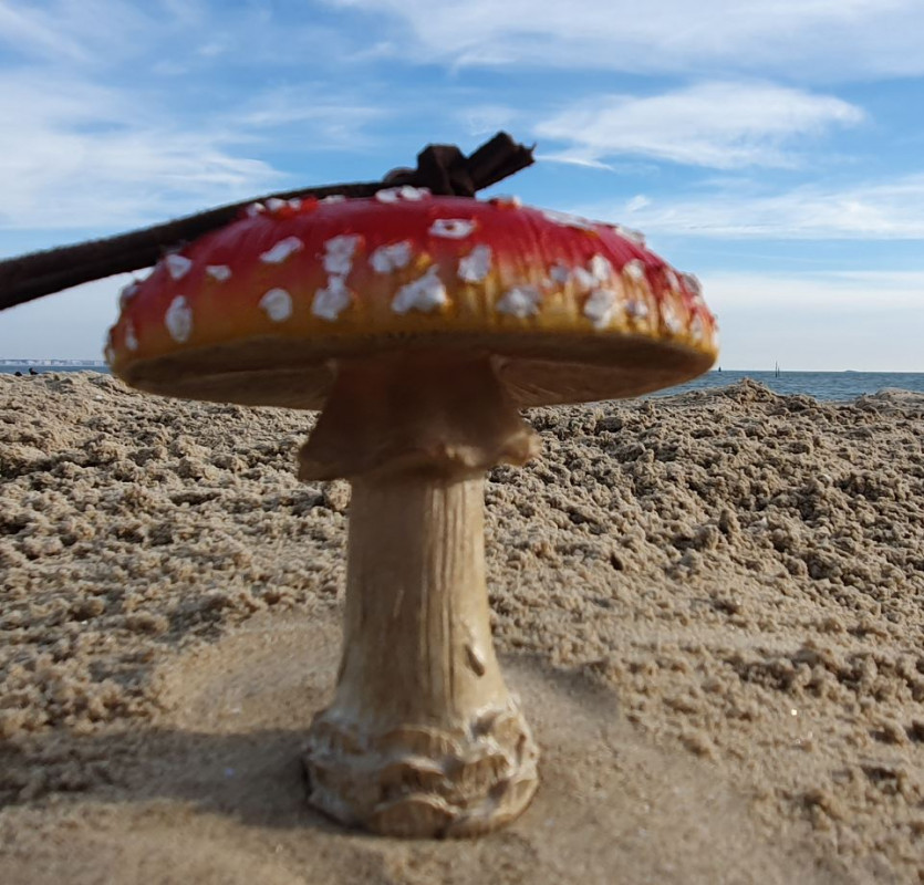 Suspension champignon rouge 