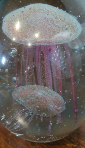 Sulfure méduse rose
