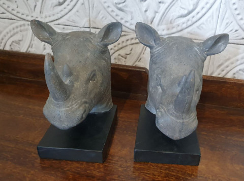 Serre livre Rhinocéros 